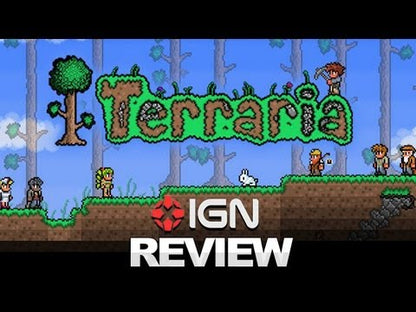 Cadou Terraria Steam