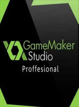GameMaker: Studio Professional DLC Descărcare digitală CD Key