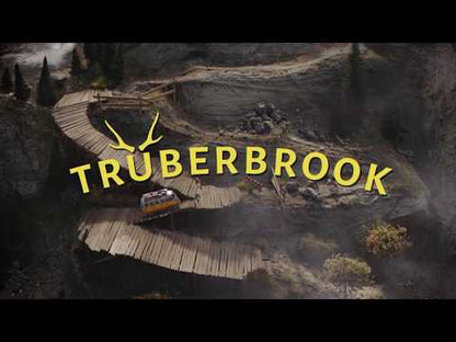 Truberbrook EU Xbox One/Series CD Key