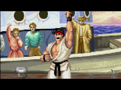 Street Fighter - Colecția 30 de ani EU Steam CD Key