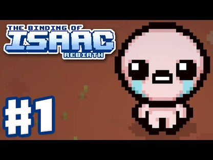 The Binding Of Isaac + Wrath of the Lamb Steam CD Key