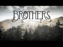 Frați: Povestea a doi fii Steam CD Key