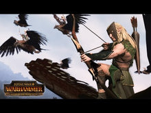 Total War: Warhammer - Tărâmul Elfilor de Pădure Steam CD Key