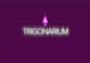 Trigonarium Abur CD Key