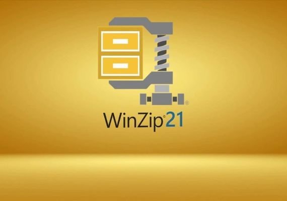 WinZip 21 RO Licență software globală CD Key